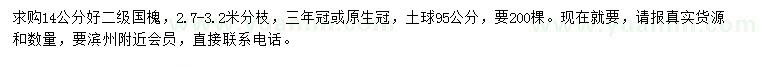 求購14公分國槐