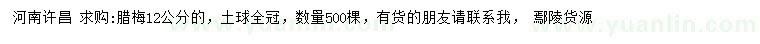 求購12公分臘梅