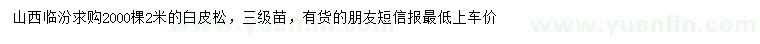 求購2米白皮松