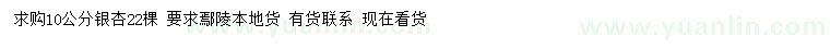 求購10公分銀杏