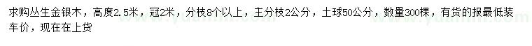 求購高度2.5米叢生金銀木