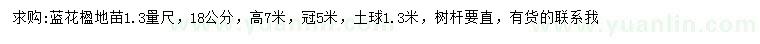 求購(gòu)1.3米量18公分藍(lán)花楹