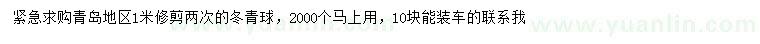 求購1米冬青球
