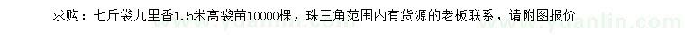 求購高1.5米九里香