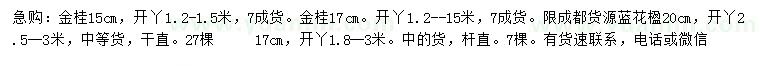 求購15公分金桂、17、20公分藍花楹