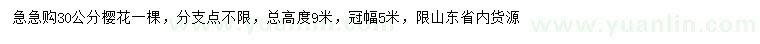 求購30公分櫻花