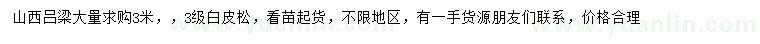 求購3米白皮松