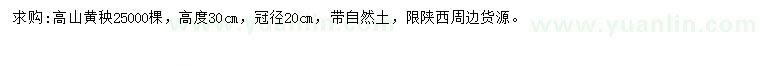 求購(gòu)高度30公分高山黃楊
