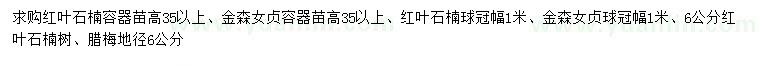 求購紅葉石楠、金森女貞、紅葉石楠球等