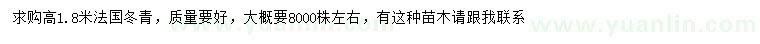 求購高1.8米法國冬青