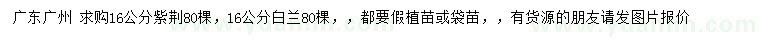 求購(gòu)16公分紫荊、白蘭