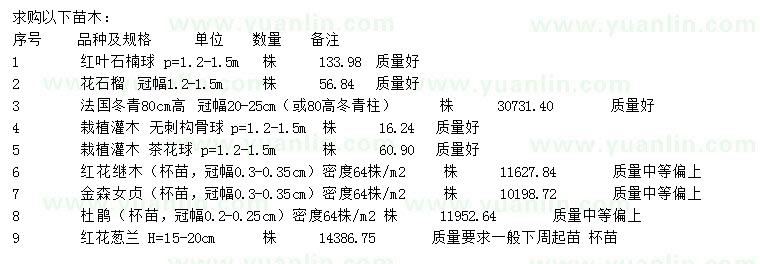 求購紅葉石楠、花石榴、法國冬青等