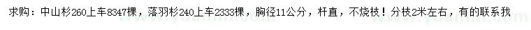 求購胸徑11公分中山杉、落羽杉