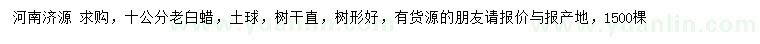 求購10公分老白蠟