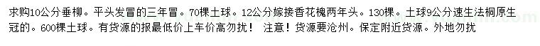 求購垂柳、嫁接香花槐、速生法桐