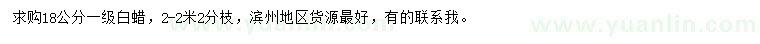 求購(gòu)18公分白蠟