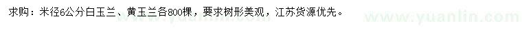 求購米徑6公分白玉蘭、黃玉蘭