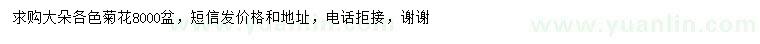 求購菊花