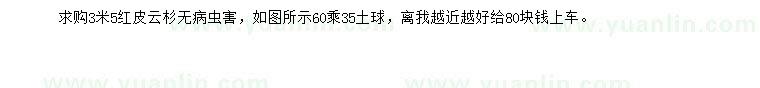 求購(gòu)3.5米紅皮云杉