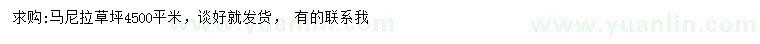 求購馬尼拉草坪