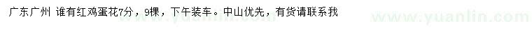 求購7公分紅雞蛋花