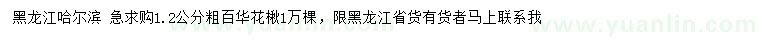 求購粗1.2公分百華花楸