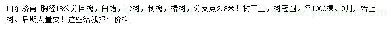 求購國槐、白蠟、欒樹等