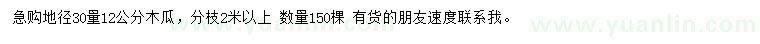 求購地徑30量12公分木瓜
