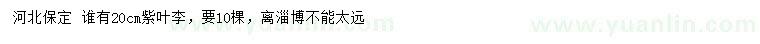 求購20公分紫葉李