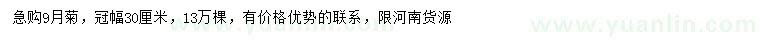 求購冠幅30公分9月菊