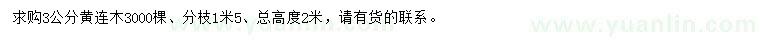 求購3公分黃連木