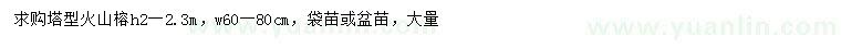 求購(gòu)高2-2.3米火山榕