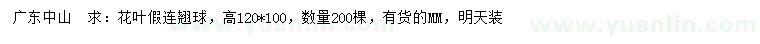 求購高高120*100公分花葉假連翹球