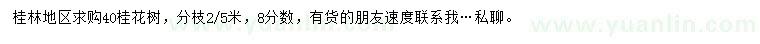 求購40公分桂花樹