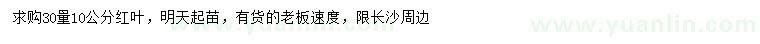 求購30量10公分紅葉