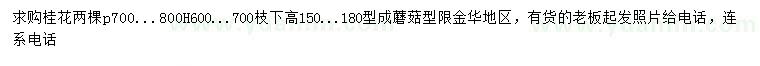 求購冠幅700、800公分桂花