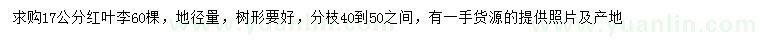 求購(gòu)地徑17公分紅葉李