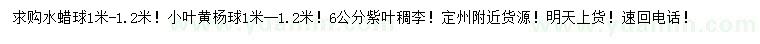 求購水蠟球、小葉黃楊球、紫葉稠李