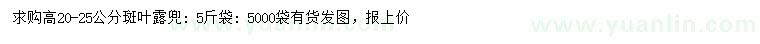 求購(gòu)高20-25公分斑葉露兜