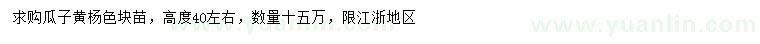 求購高度40公分左右瓜子黃楊色塊苗