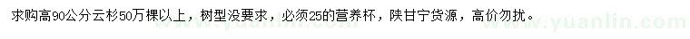 求購高90公分云杉