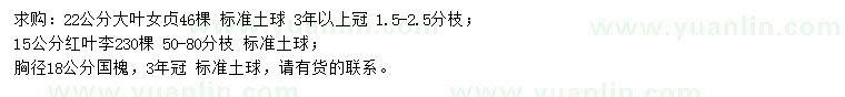 求購大葉女貞、紅葉李、國槐