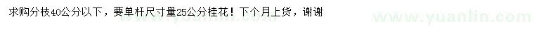 求購25公分桂花