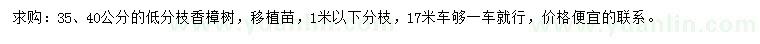 求購35、40公分香樟樹