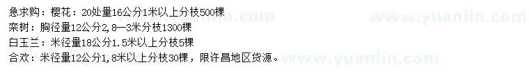 求購櫻花、欒樹、白玉蘭等