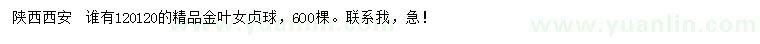 求購120*120精品金葉女貞球