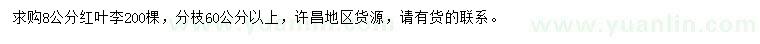 求購(gòu)8公分紅葉李