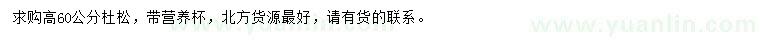 求購高60公分杜松