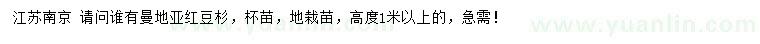 求購(gòu)高度1米以上曼地亞紅豆杉