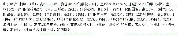 求購黑松、櫻花、法桐等